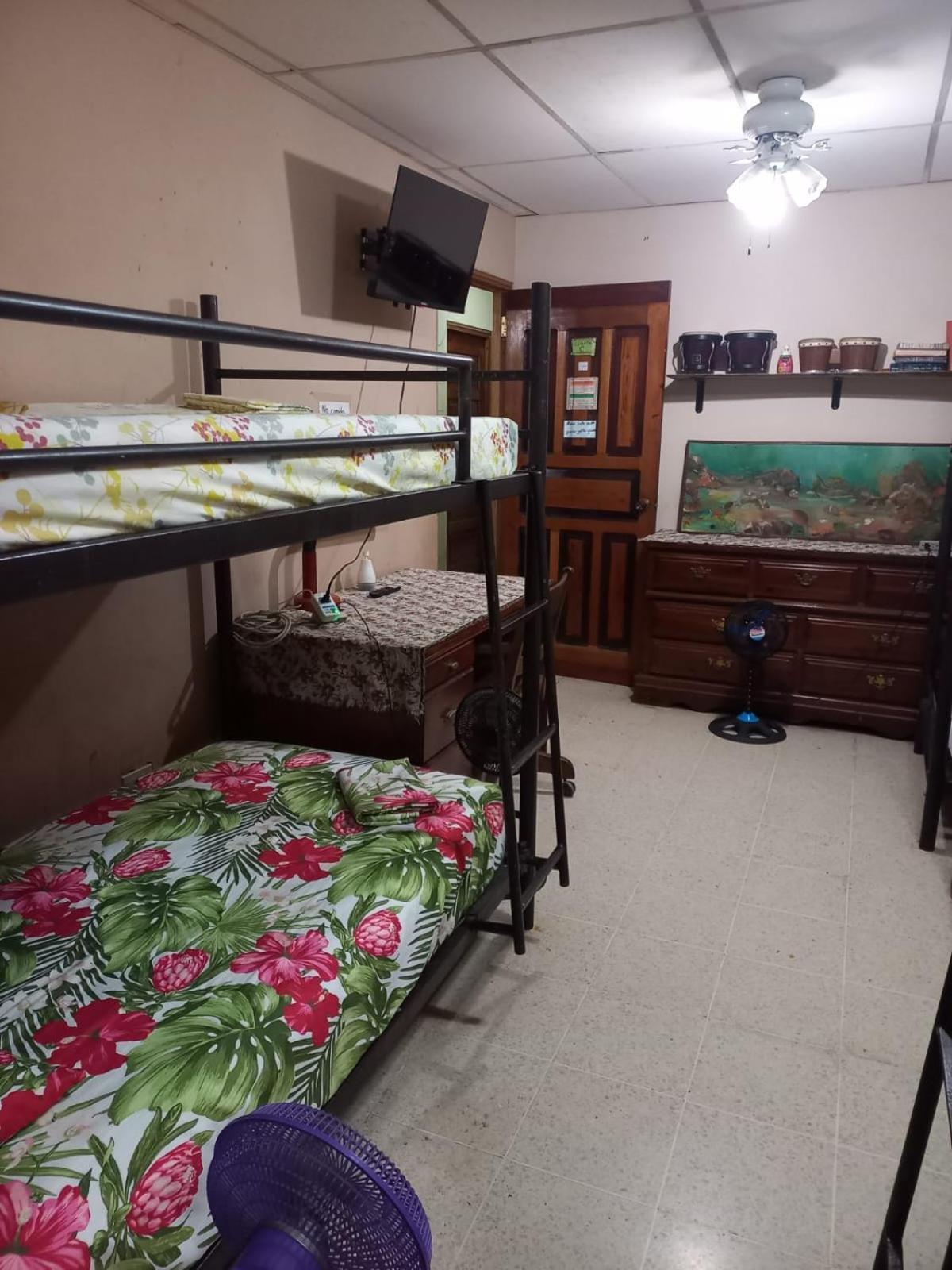Pacasa Hostel David Dış mekan fotoğraf