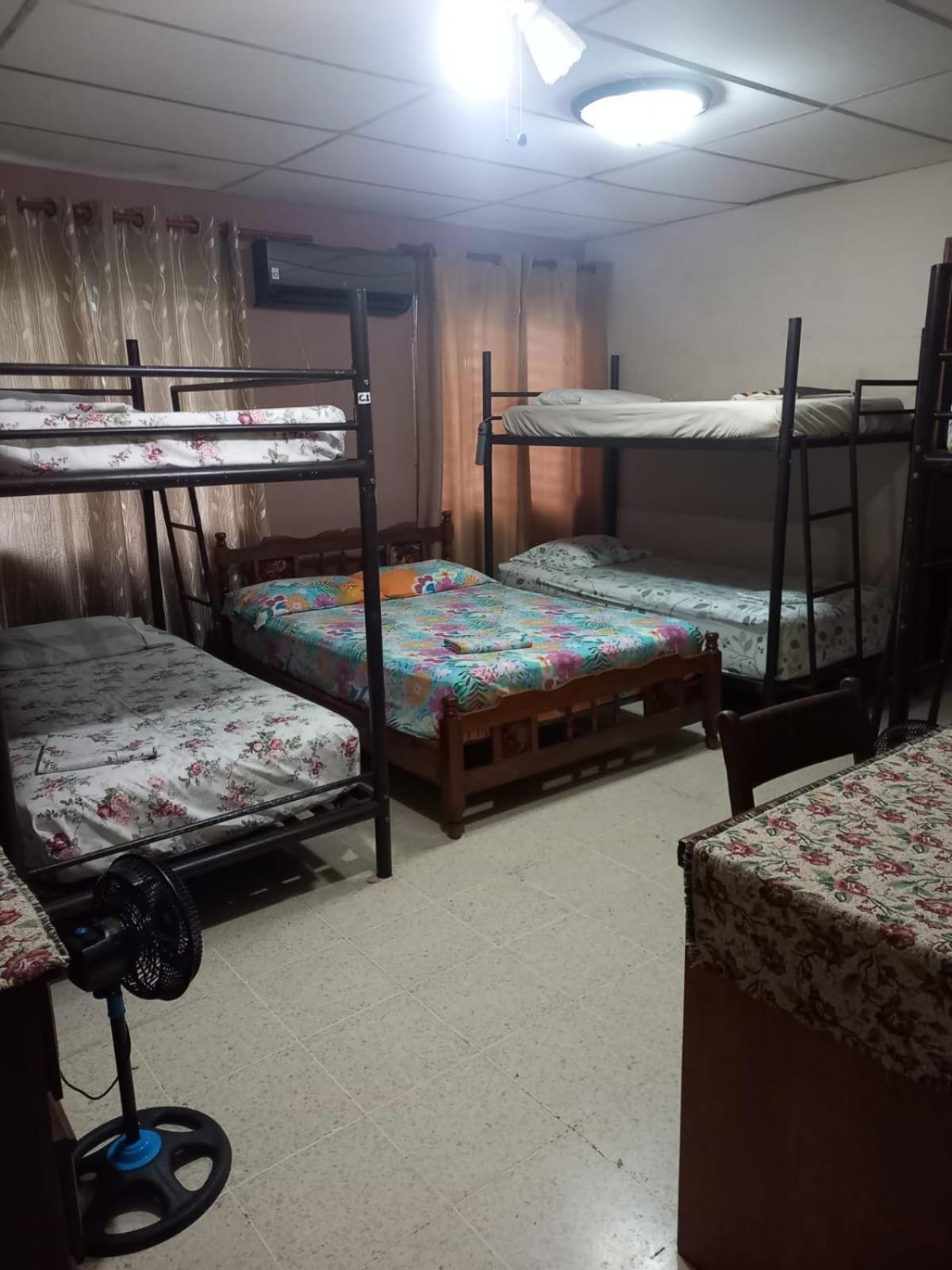 Pacasa Hostel David Dış mekan fotoğraf