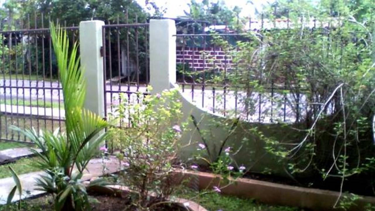 Pacasa Hostel David Dış mekan fotoğraf