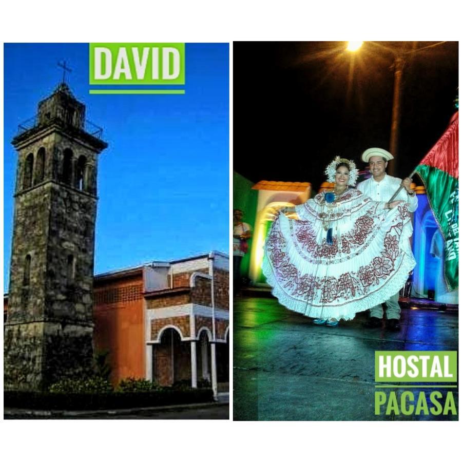 Pacasa Hostel David Dış mekan fotoğraf
