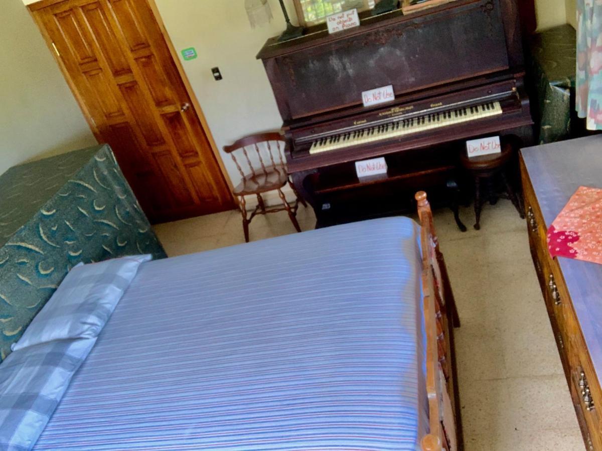 Pacasa Hostel David Dış mekan fotoğraf