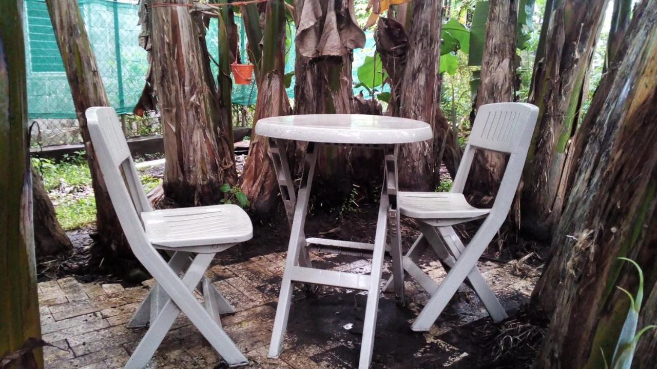 Pacasa Hostel David Dış mekan fotoğraf