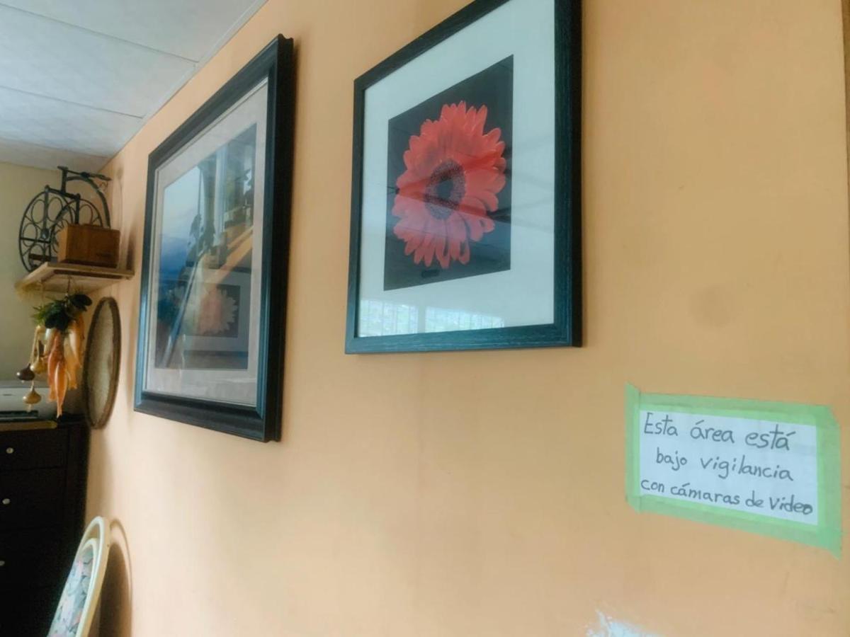 Pacasa Hostel David Dış mekan fotoğraf